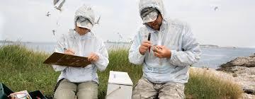 Field Data Collection